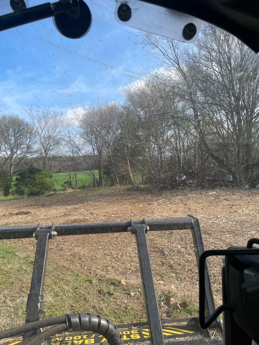 Forestry Mulching for Beaver Excavating Services in Friendship, TN