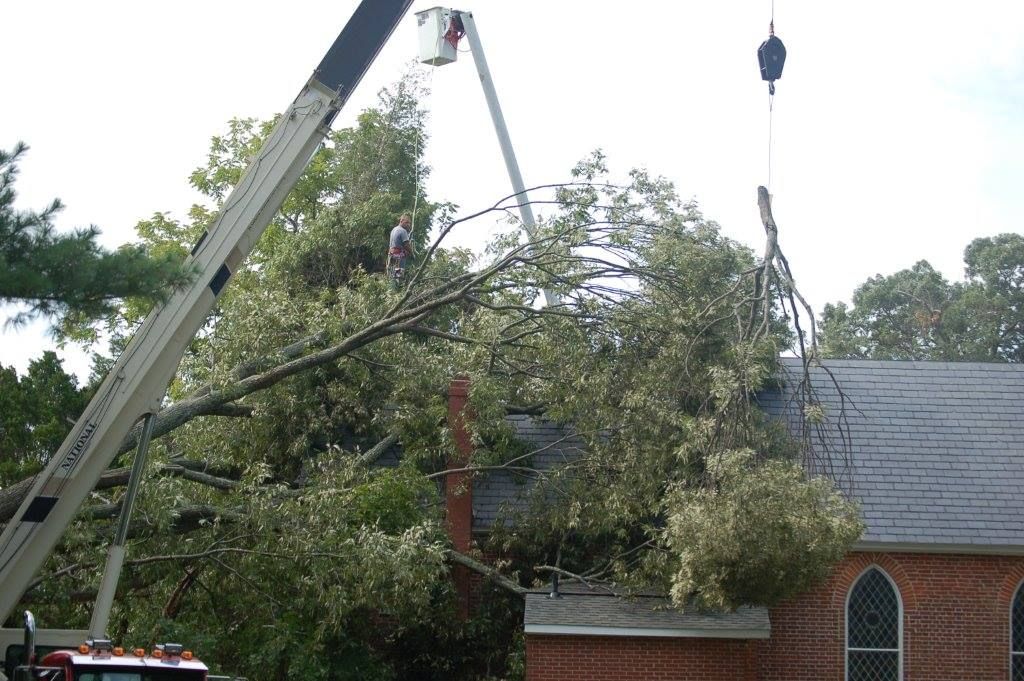 Emergency Storm Cleanup for Alexander's Tree Service  in Newburg,  MD