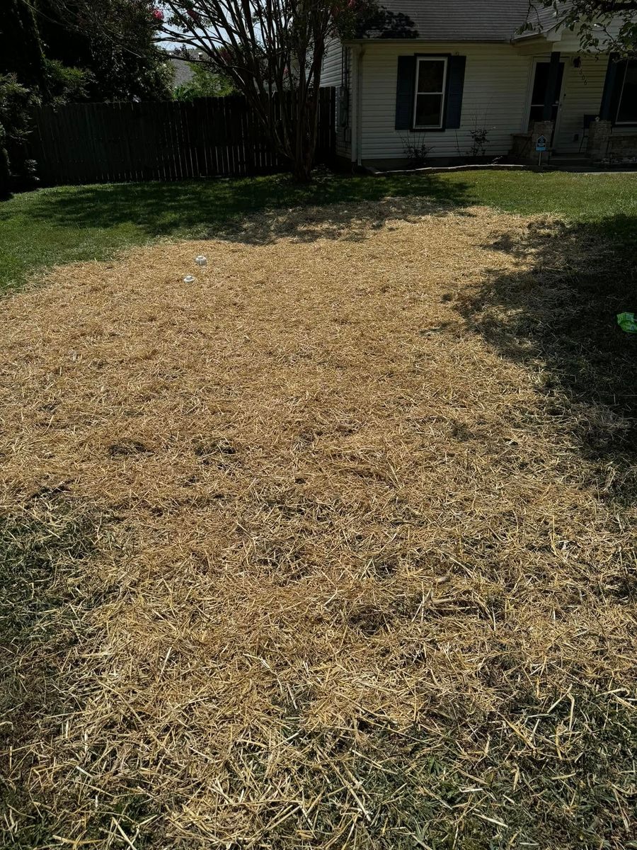 Forestry Mulching for F&M Independent Contractors in Murfreesboro, TN