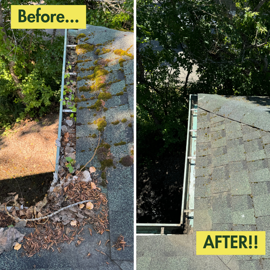 Gutter Cleaning and Maintenance for Swift Serve in Coeur d'Alene, ID