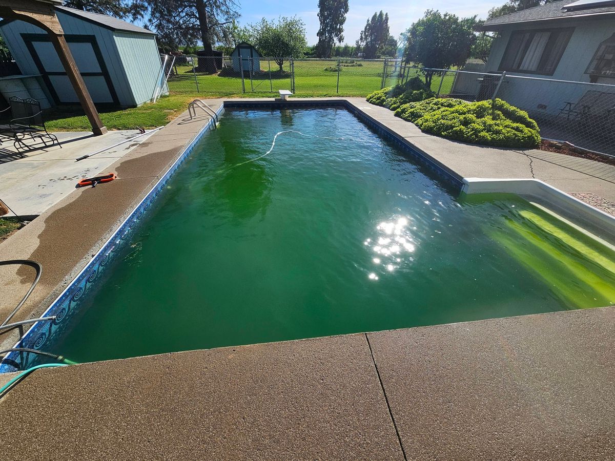 Algae Treatment for Robertson Pools in Red Bluff, CA