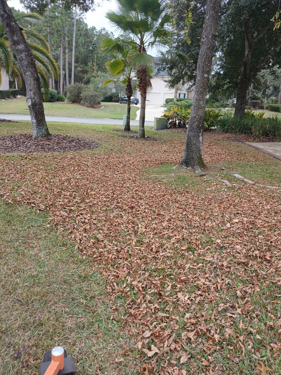 Fall Clean Up for Whole 9 Yards Services in Green Cove Springs, FL