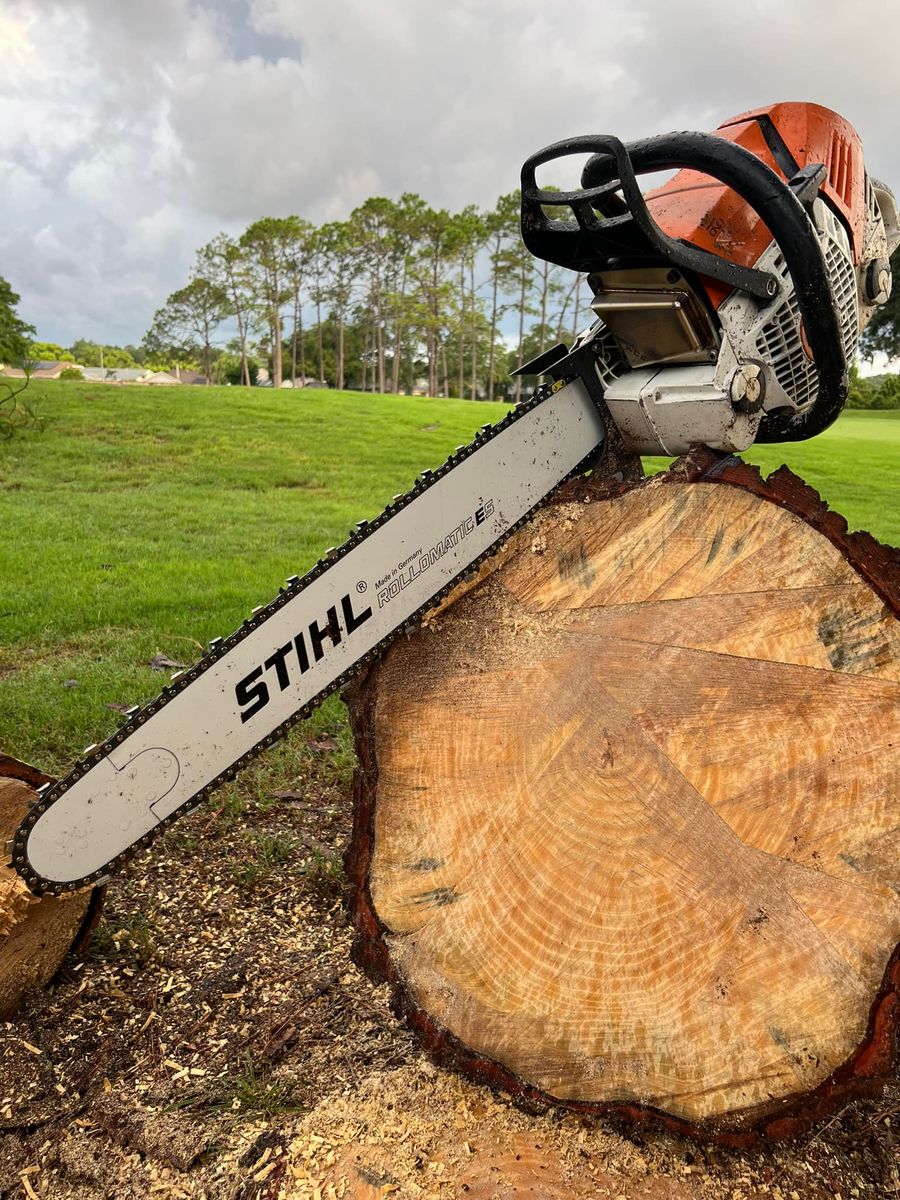 Stump Removal for Ryker's Tree Service in Dunedin, FL