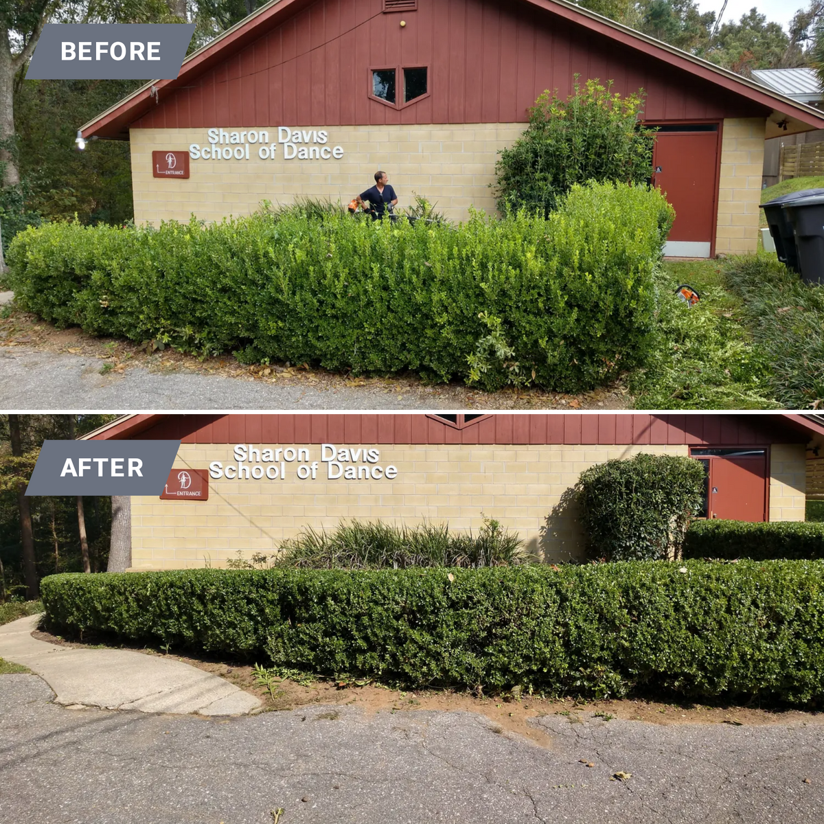 Shrub Trimming for Down & Dirty Lawn Svc  in Tallahassee, FL