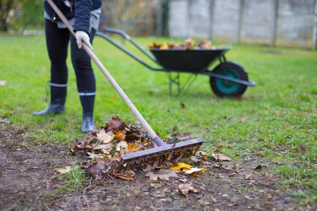 Spring Clean-Up Services for New Beginning Landscape & Remodel LLC in Atlanta, GA
