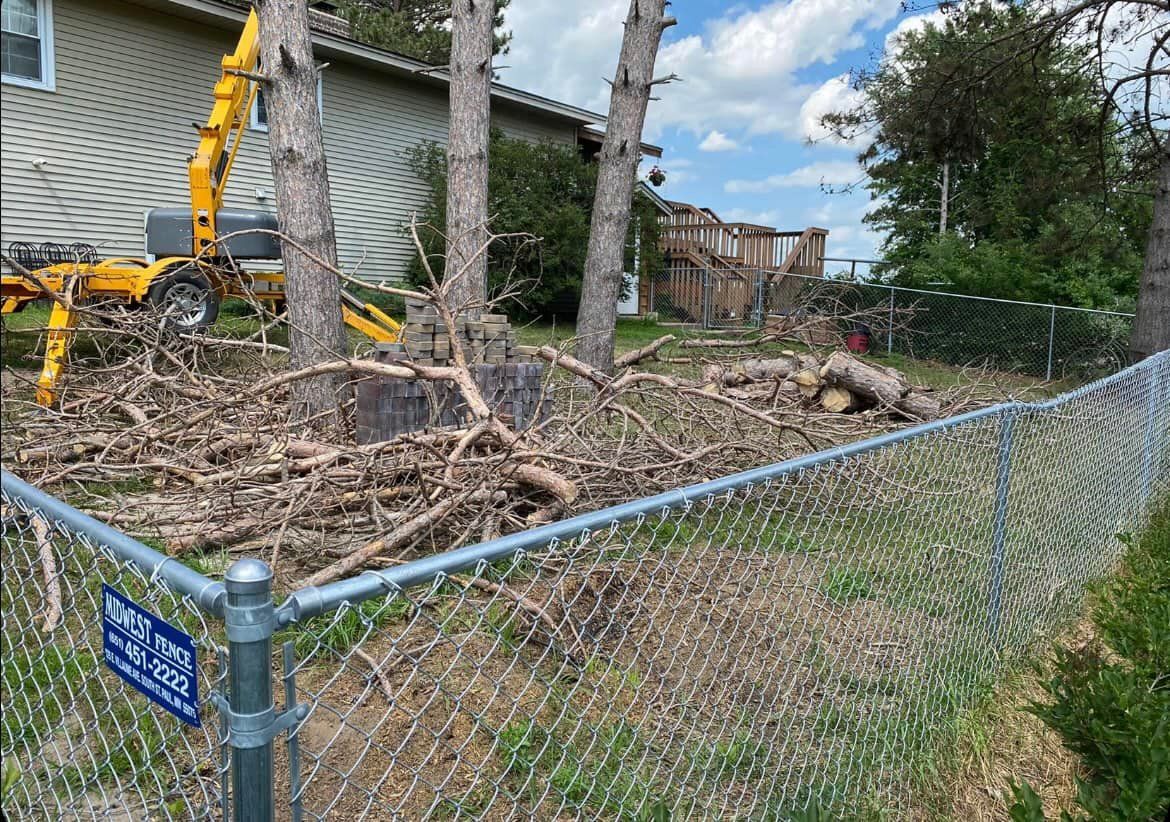 Tree Trimming for K and Z Lawn Care in Andover, MN