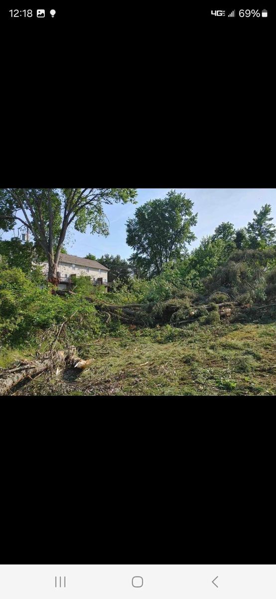 Land clearing for M&L Lumber and Excavating in Jonesborough, TN