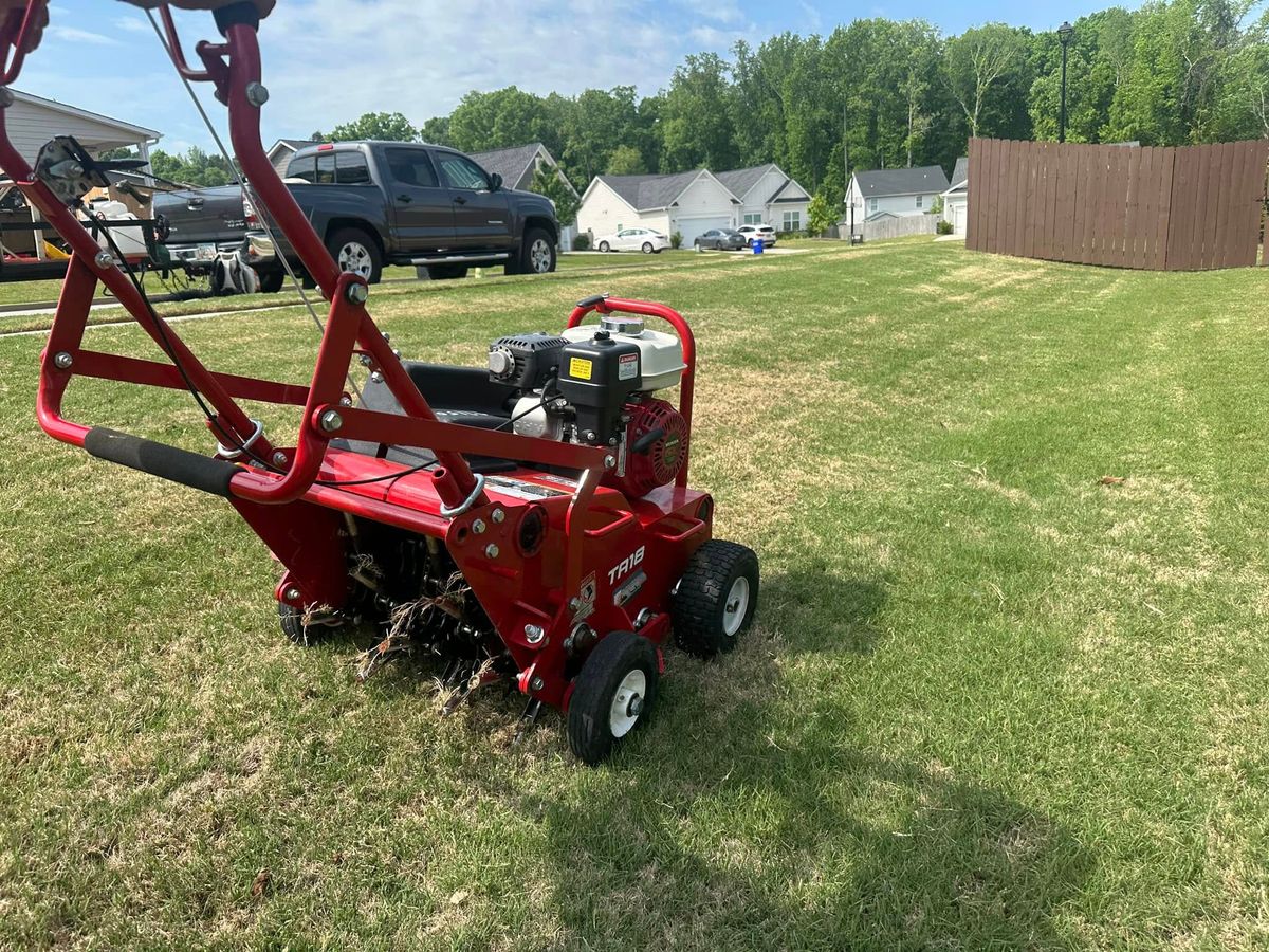 Landscaping for Castillo’s Lawn Care in Monroe, GA