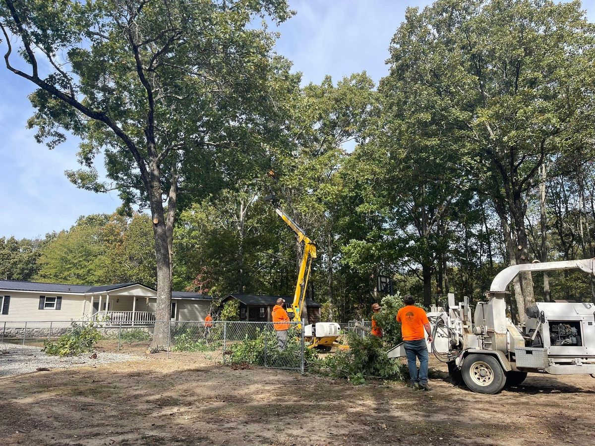 Tree Trimming for Ross Family Tree Service LLC  in Hohenwald, TN