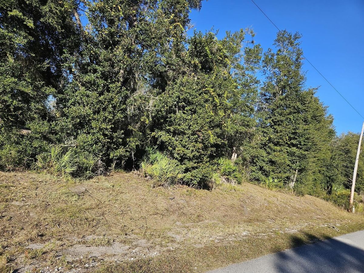 Site Preparation for J & E Land Clearing, LLC. in Dunnellon, FL