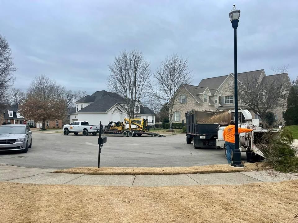 Tree Removal for Ross Family Tree Service LLC  in Hohenwald, TN