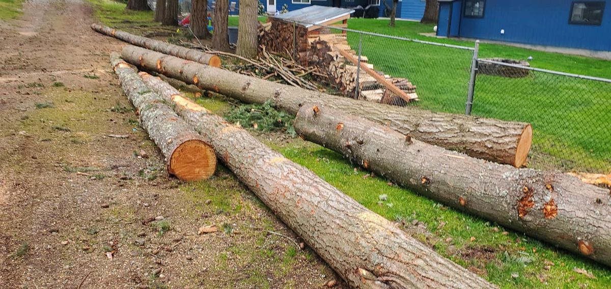Tree Removal for A&J WA Tree Services in Kent, WA