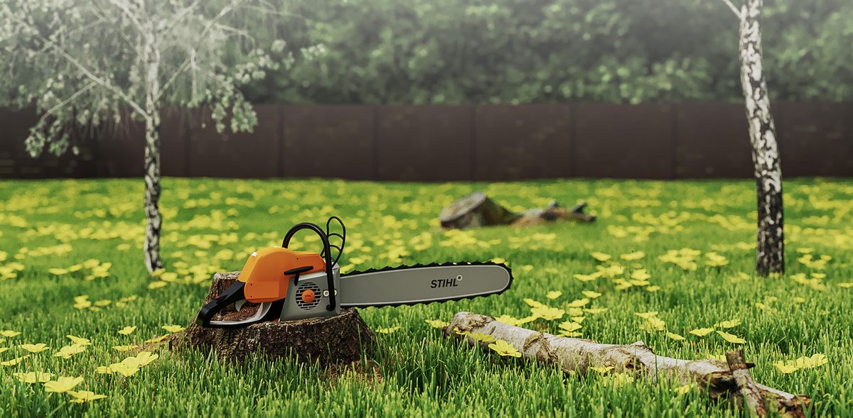 Tree Removal for Fairbairn Tree trimming in Willmar, MN