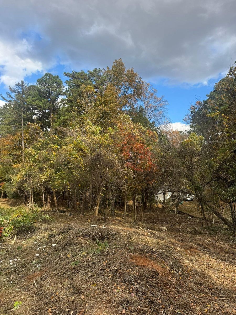 Tree & Shrub Trimming for Southern Turf & Landscape in Concord, NC