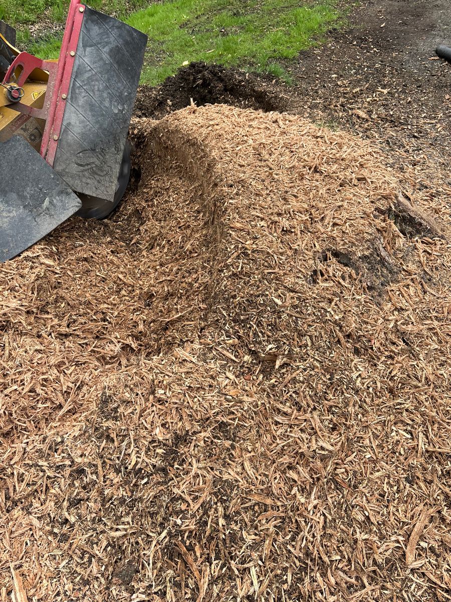 Stump Removal for Dean's Stump Removal in Youngstown, OH