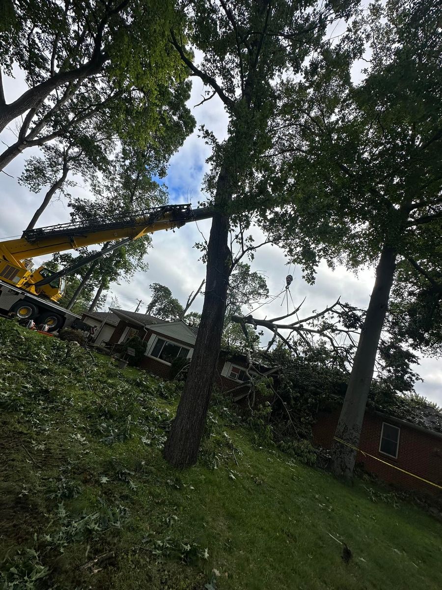 Tree Trimming for DGD Outdoor Services LLC in Howell, MI