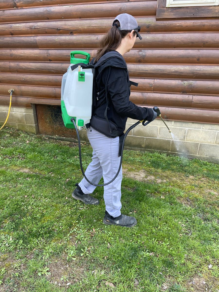 Residential Pest Control for All-In Pest Control & Home Solutions in Greene County, IN