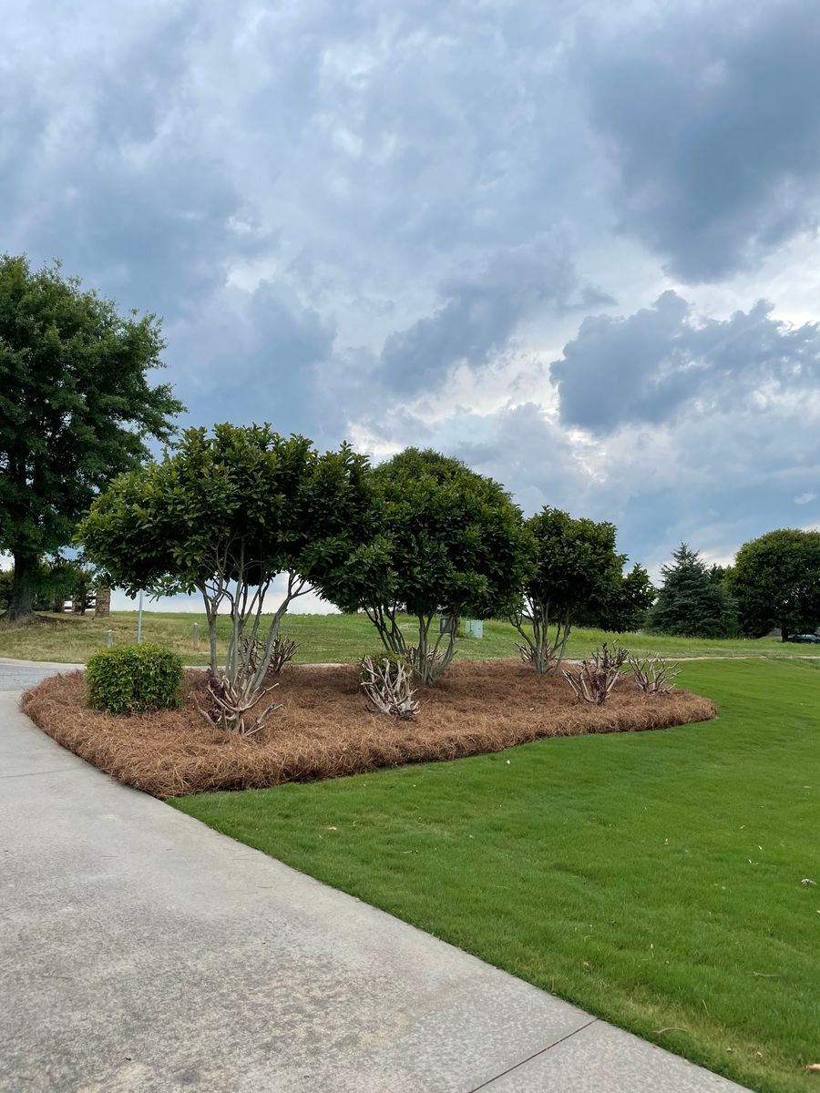 Landscape Enhancement for Peach State Landscaping in Hartwell, GA