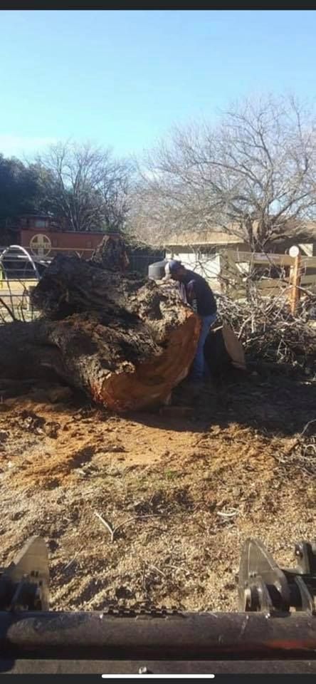 Tree Removal for Superior Lawn and Tree LLC in Clifton, TX