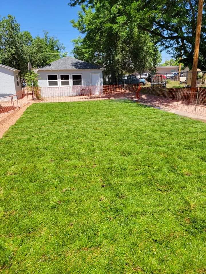 Sod Install for CDM Sprinkler in Pueblo County, CO