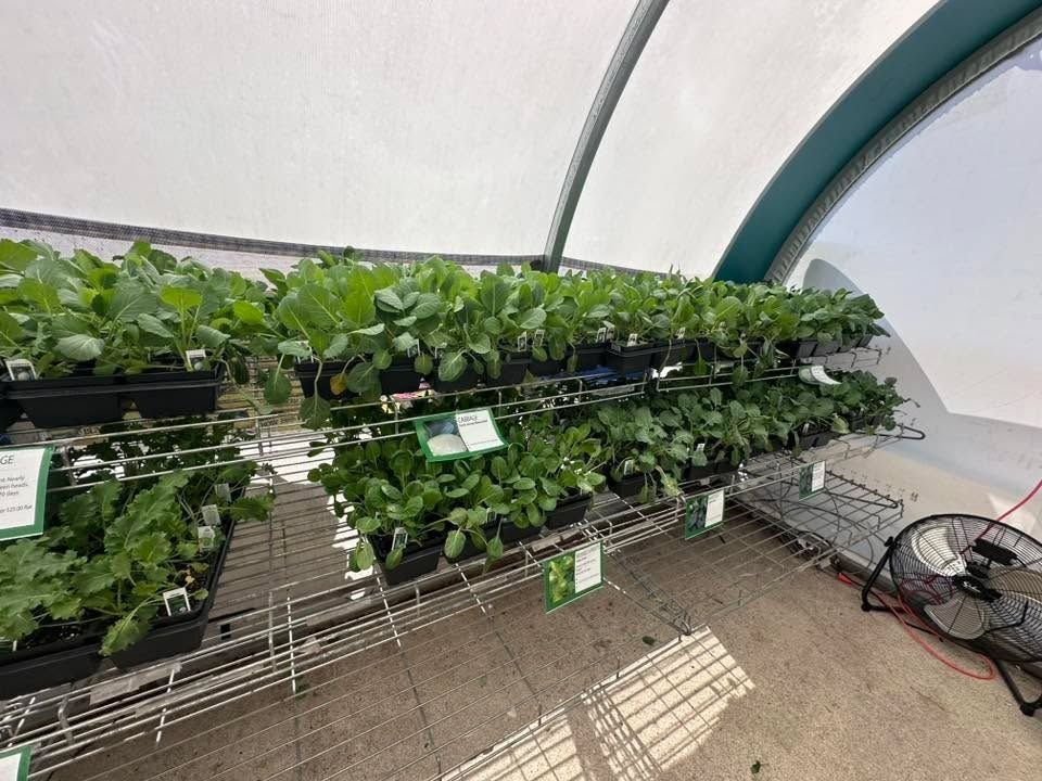 Gardening for Mayfield Landscaping in Staunton, IL