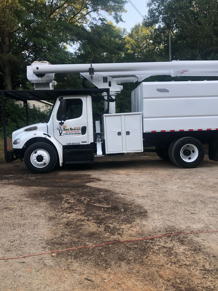 Tree Removal for M & J Tree Service & Stump Grinding in Auburn, GA