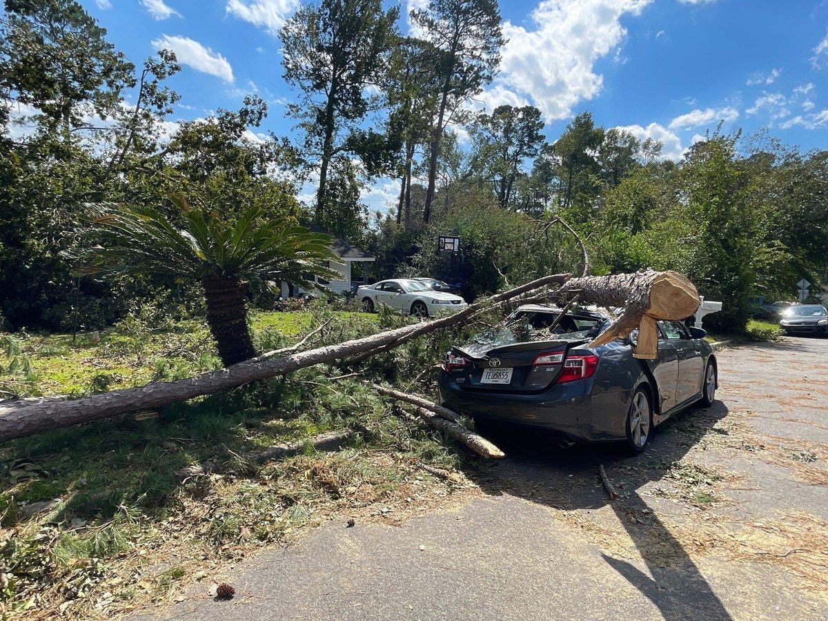 Tree Damage Insurance Claims for Bulldawg Disaster Response in Atlanta, GA