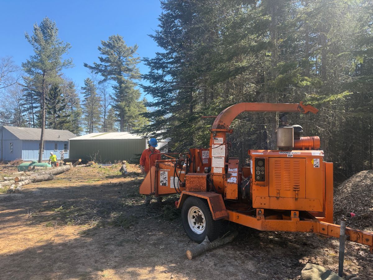 Wood Chipping for J&Q Tree Service in Paradise, MI