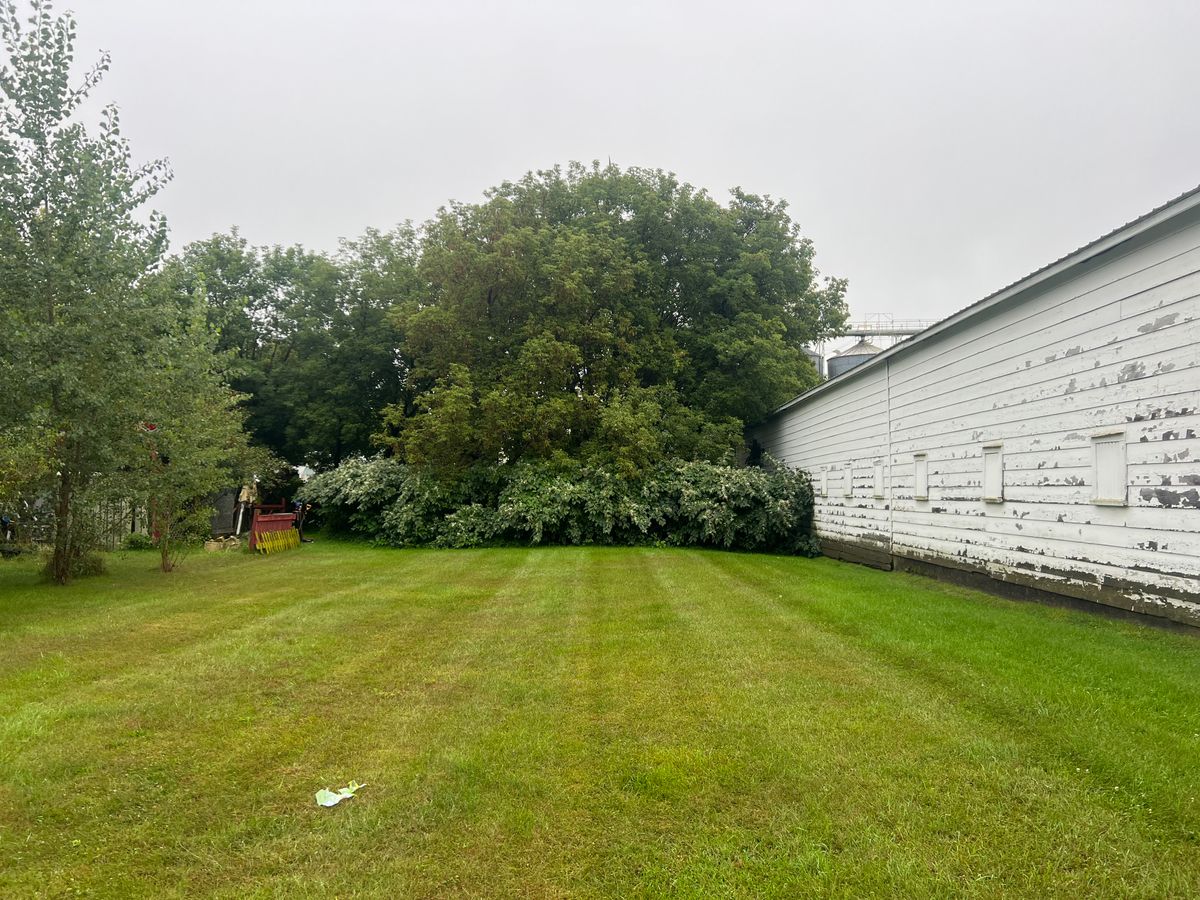 Land clearing - Brush hogging for Denicola’s Lawn Care in Oxbow,  NY