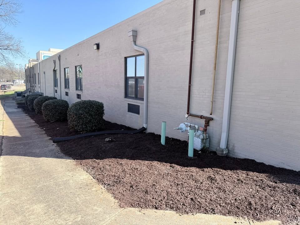 Tree & Shrub Care for Apex Lawn & Landscaping INC in Dyersburg, TN