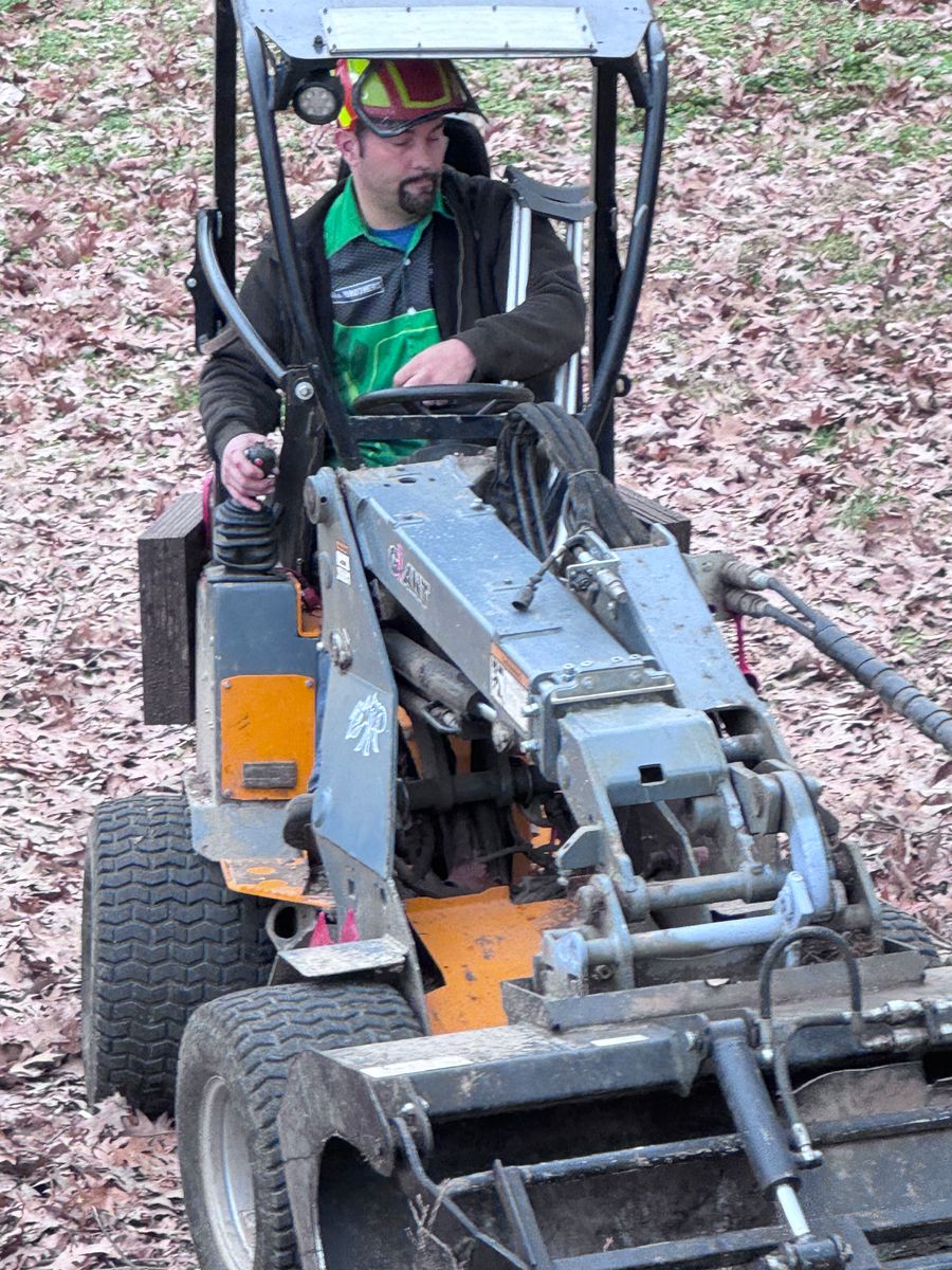 Tree Removal for Lamb Brothers Clearing in Murray, KY