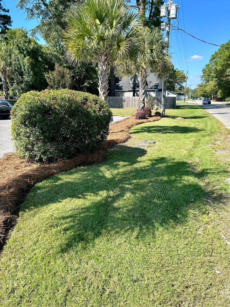 Shrub Trimming for Linhale Landscaping & Lawn Care in Florence, SC