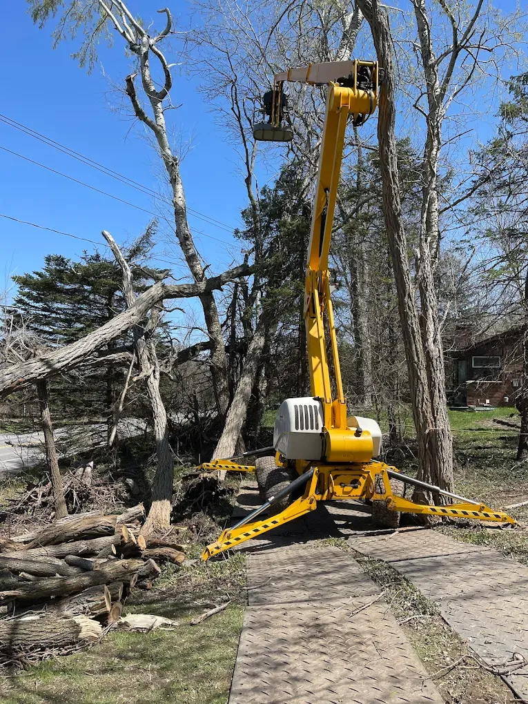 Tree Removal for Mays Tree and Stump Removal in Alden, NY