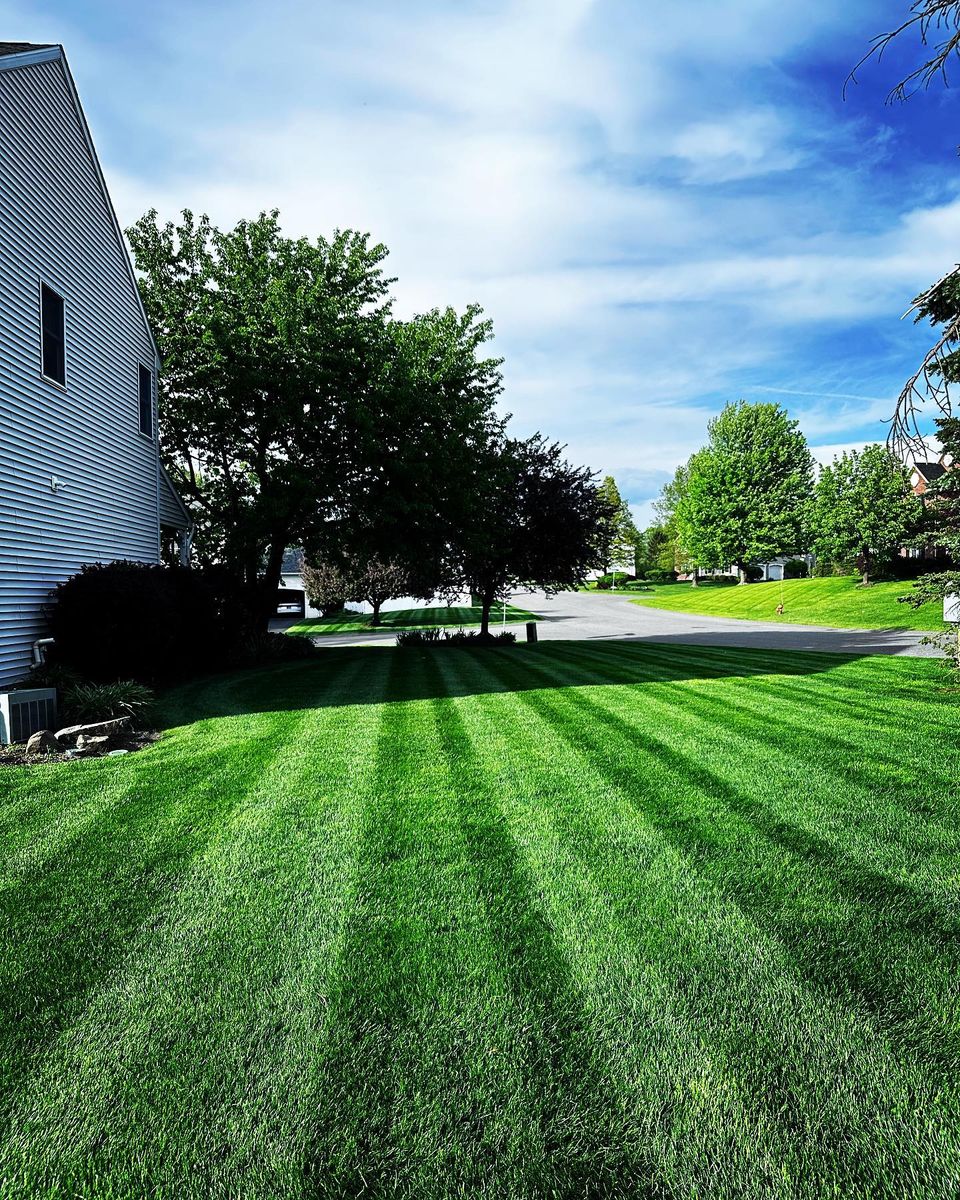 Lawn Aeration for 4 Brothers Landscaping LLC in Albany, NY