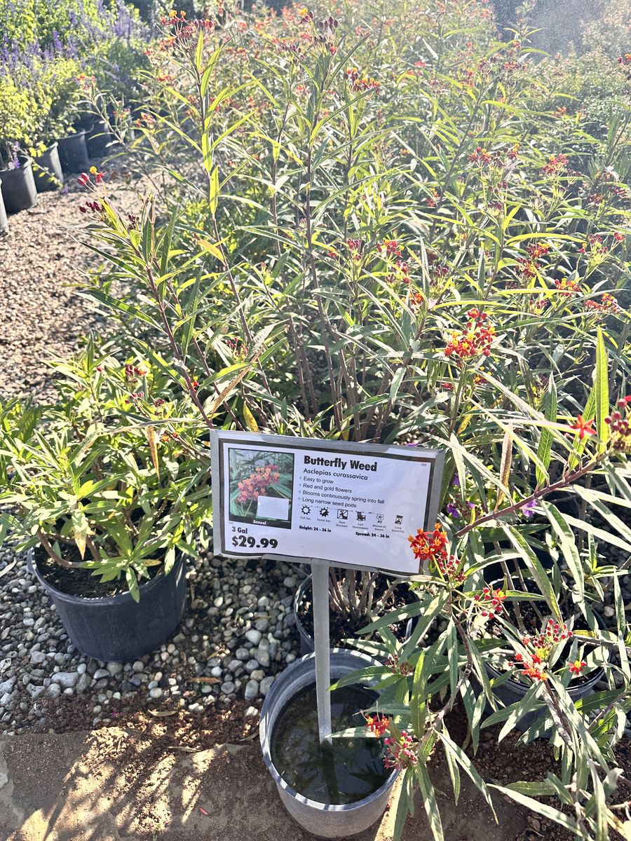 Landscape Installation for Atlas Land Design in Creekside Park, TX