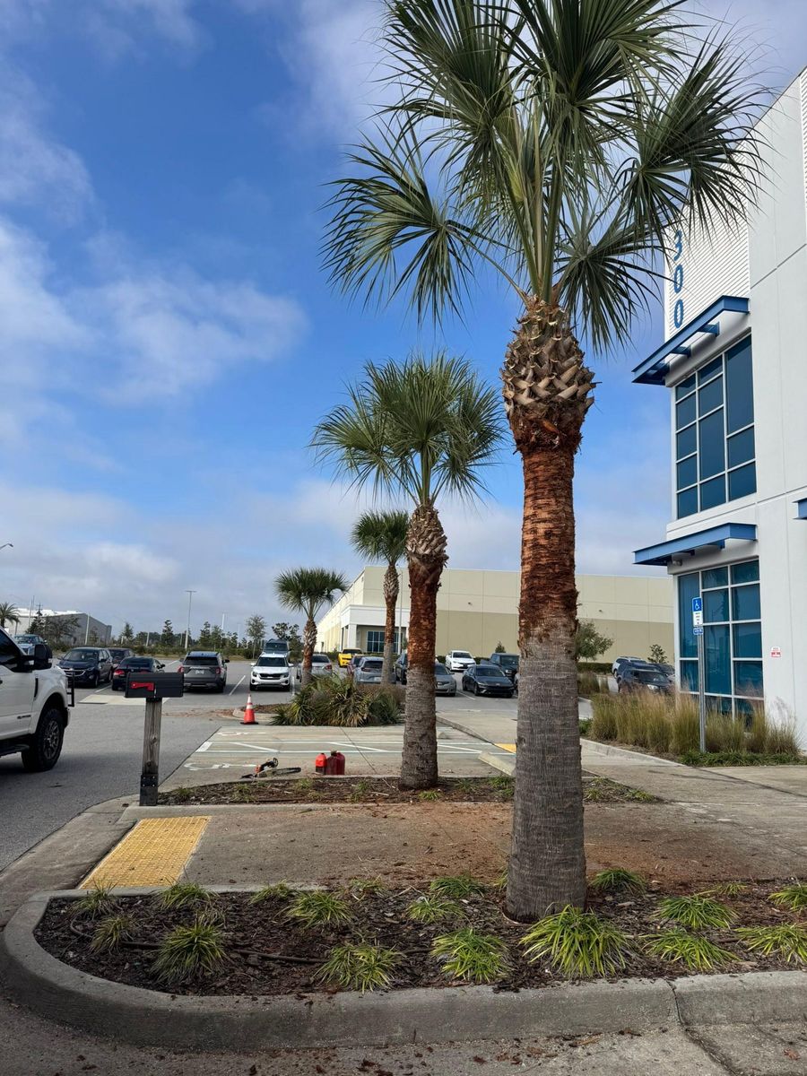 Commercial Property Maintenance for Jacksonville Outdoors in Jacksonville, FL