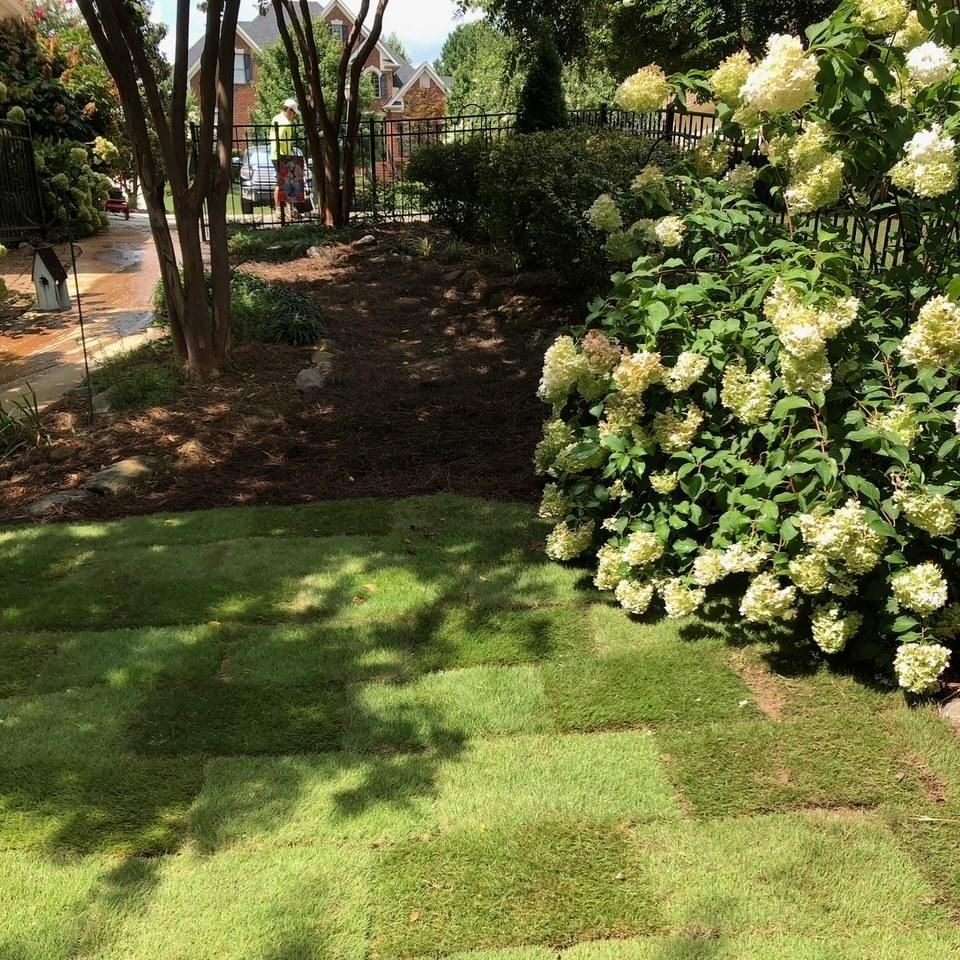 Shrub Trimming for CSS Renovations in Huntsville, AL