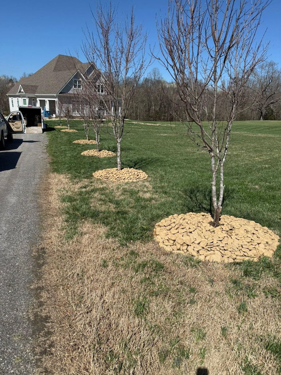 Outdoor Projects for Quartz Creek in Claremont, NC