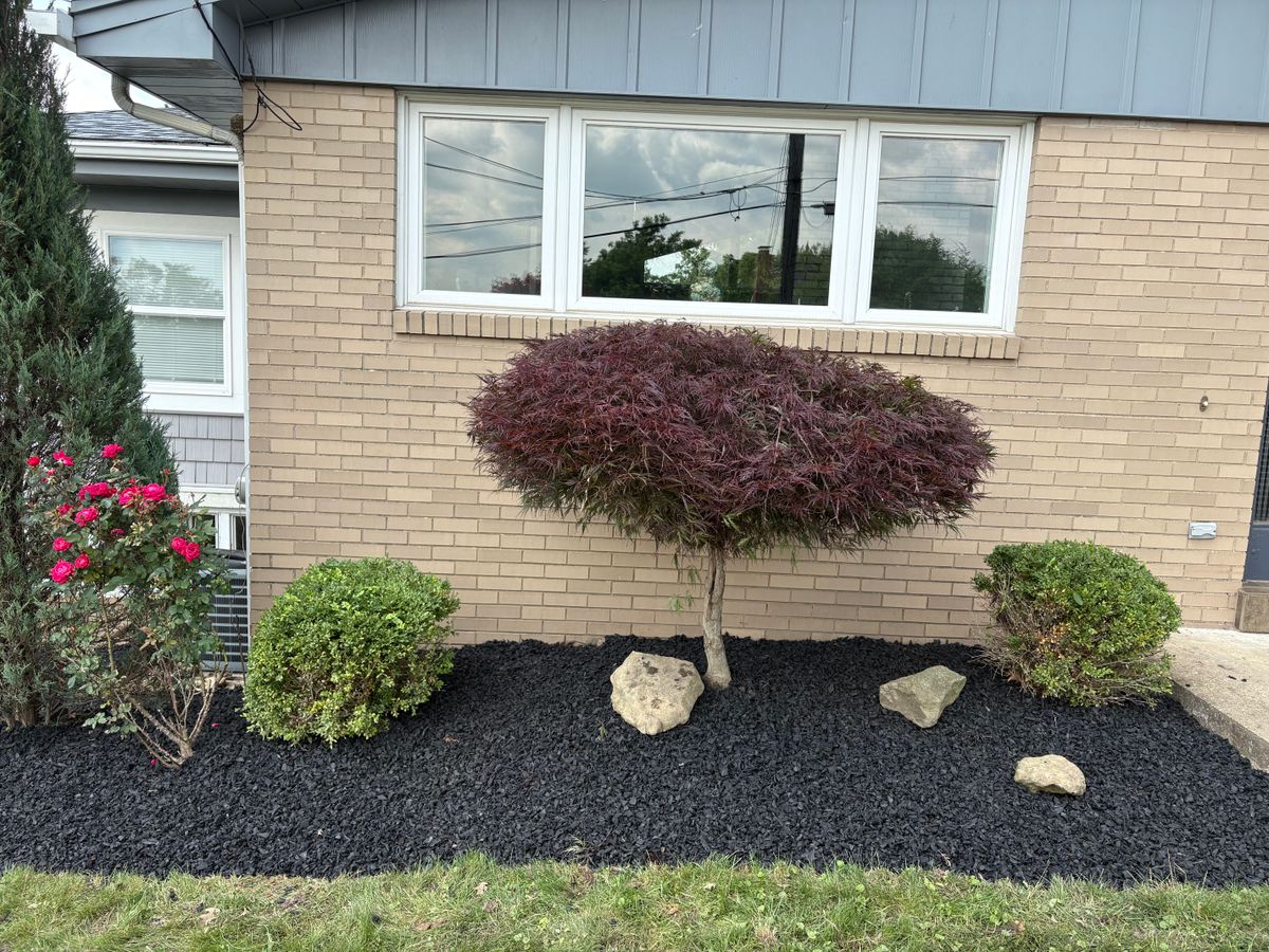 Landscaping for Cam Yardz in Washington, PA