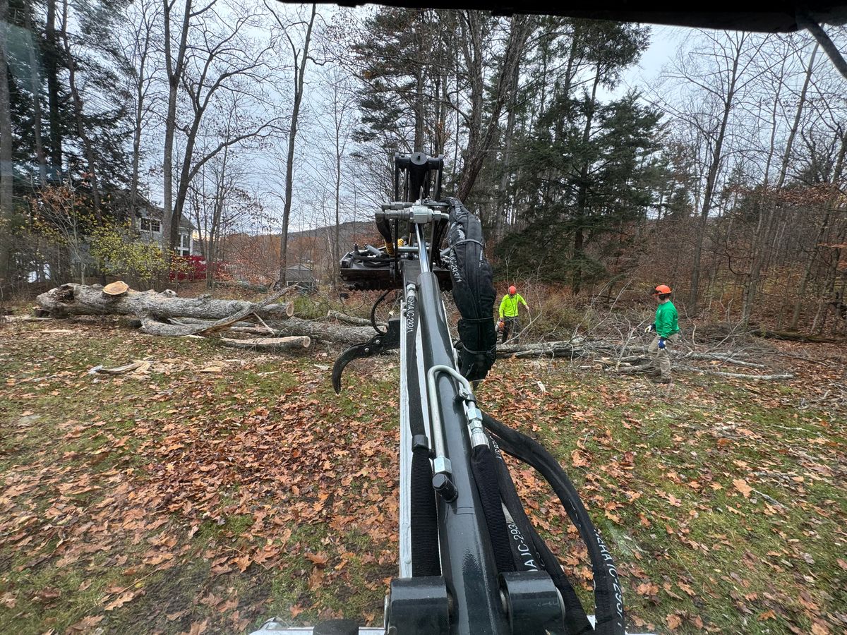 Tree Removal & Pruning for Clifford’s Quality Tree Care & Landscaping in Enfield, NH