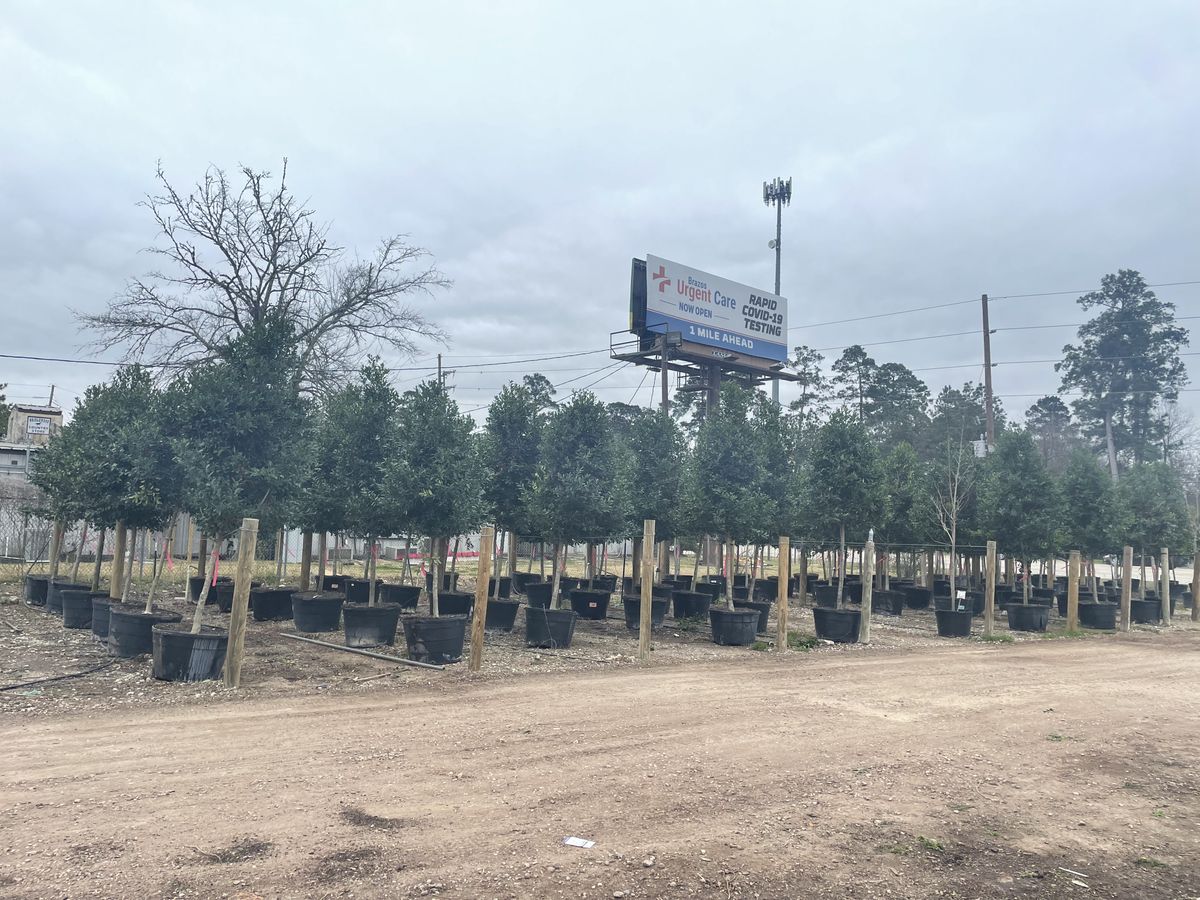 Landscape Installation for Atlas Land Design in Creekside Park, TX