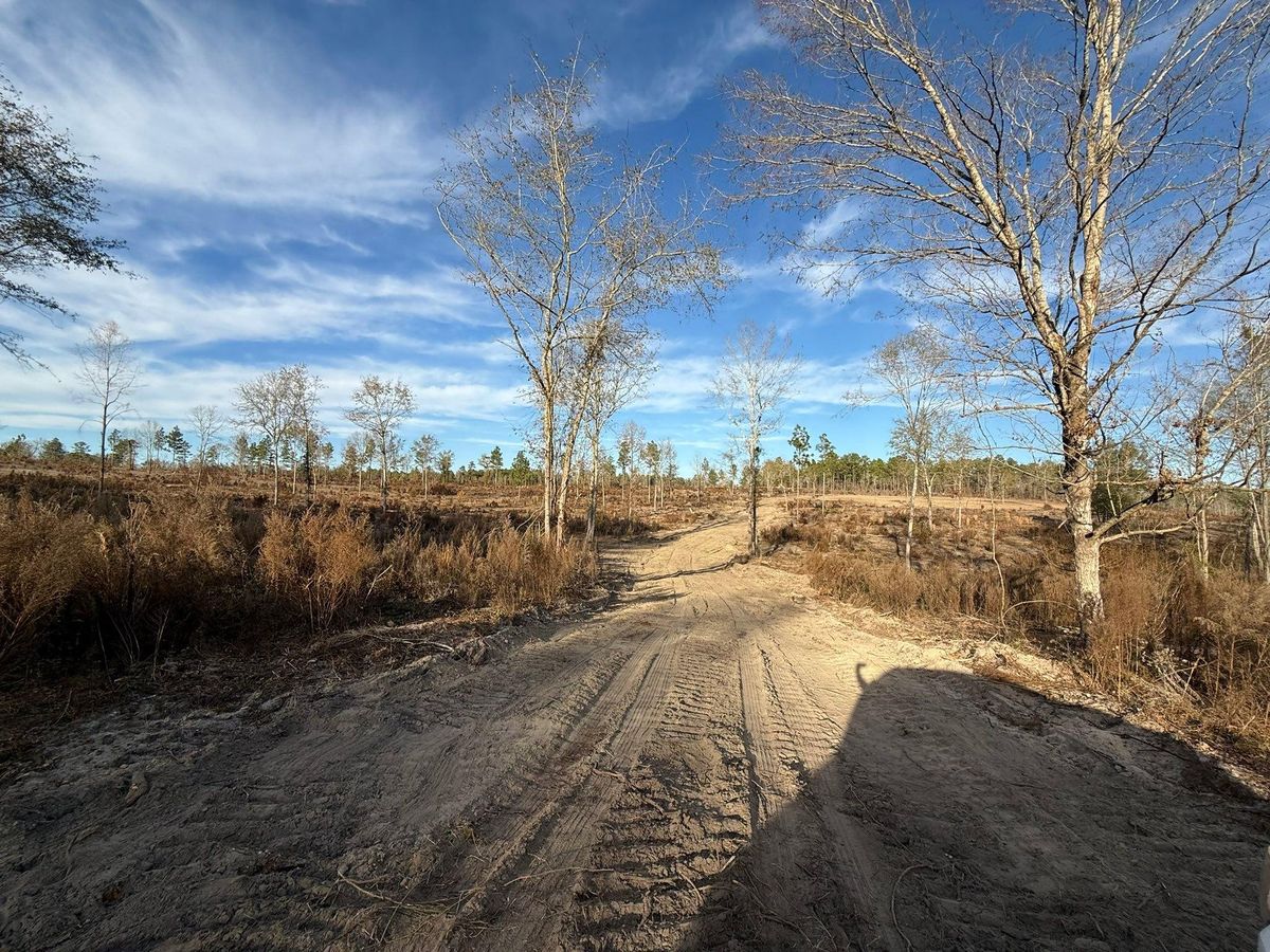 Land Clearing & Demolition for Southern Land Improvements in Edgefield, SC
