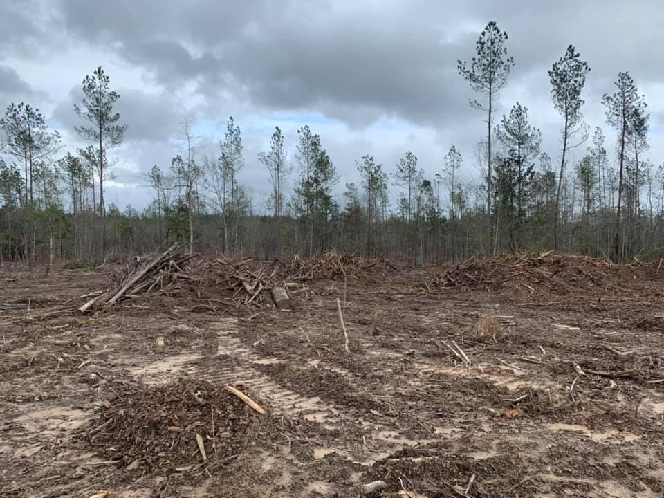 Forestry Mulching for Deriso Construction in Huffman, TX