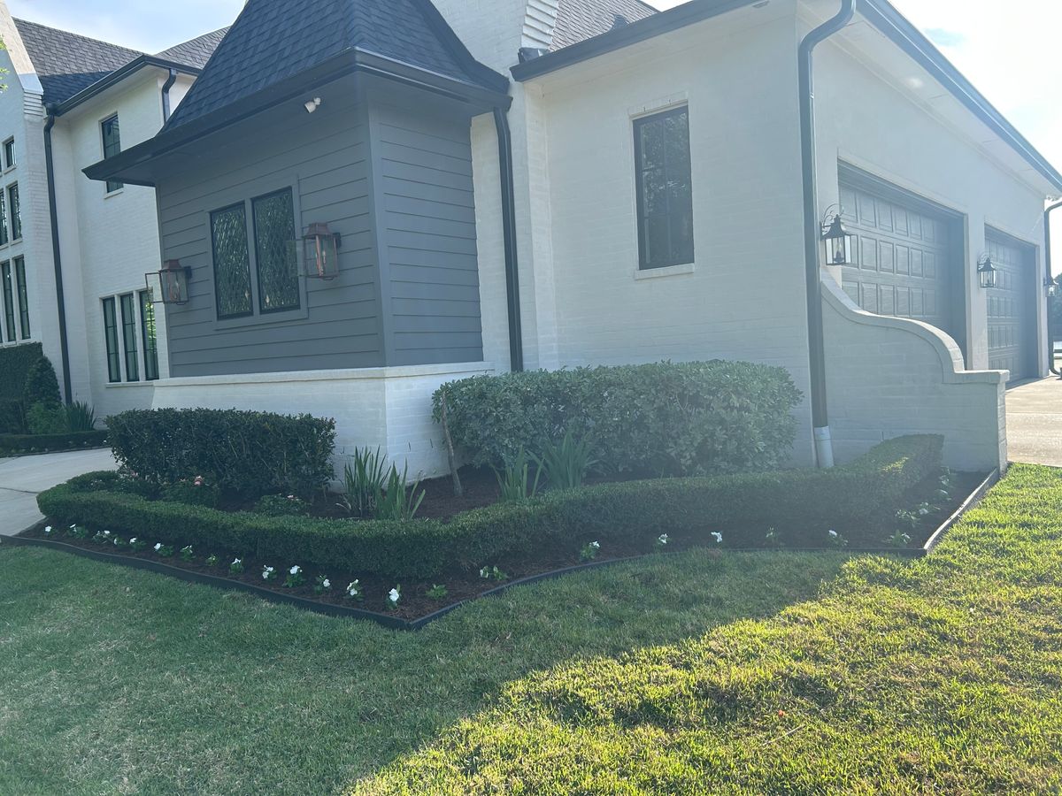 Tree & Shrub Care for Total Terrain Services in Montgomery, TX