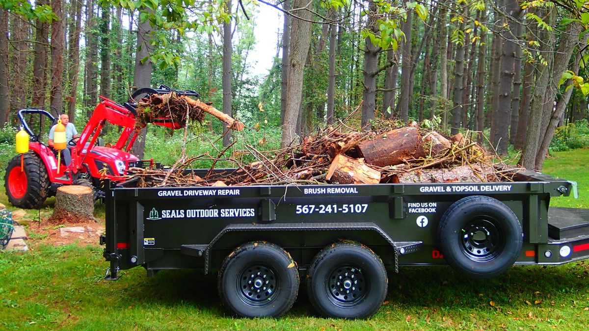 Downed Tree and Brush Cleanup for Seals Outdoor Services in Perrysville, OH