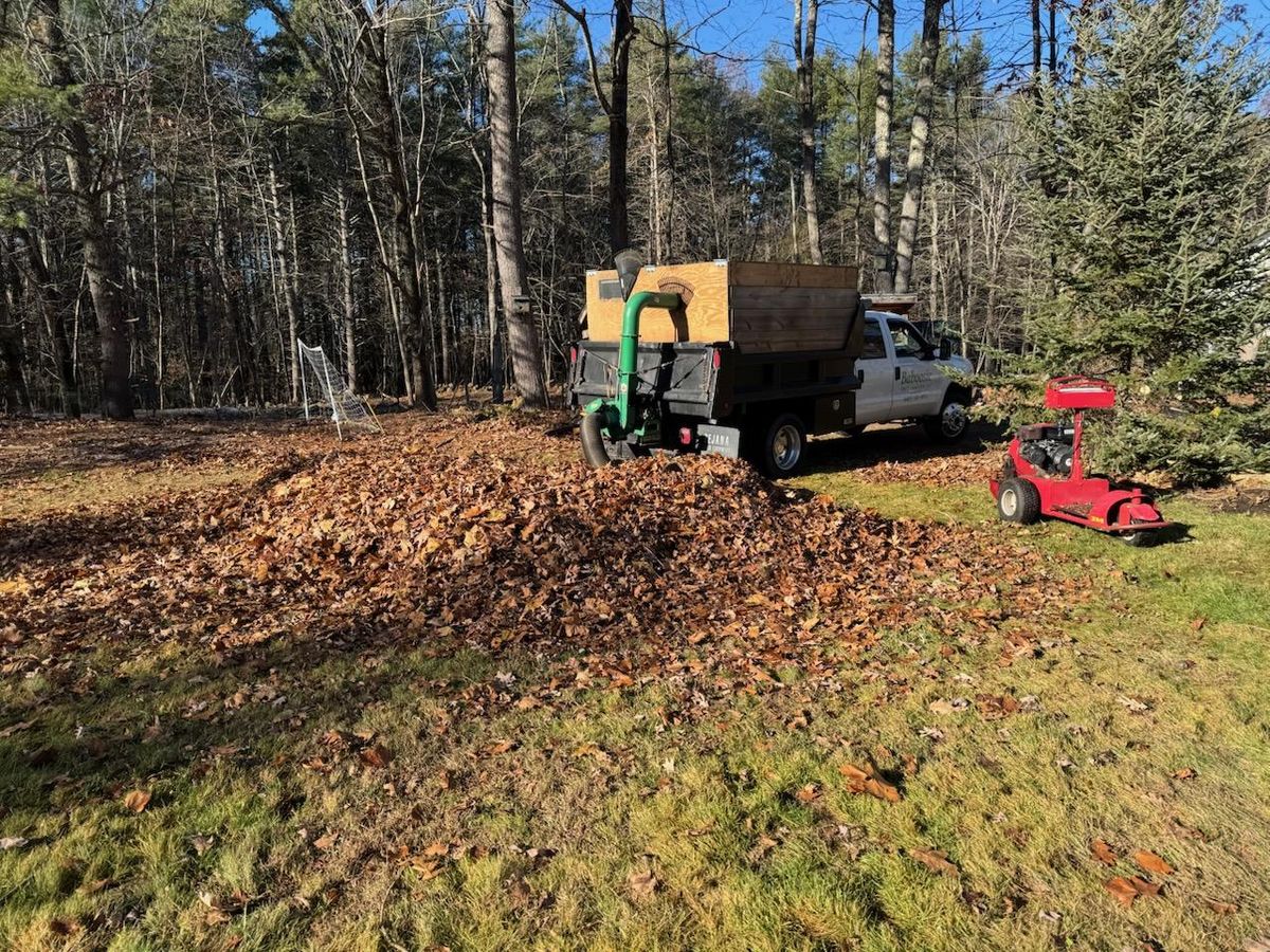 Fall and Spring Clean Up for Baboosic Tree & Landscape in Merrimack, NH