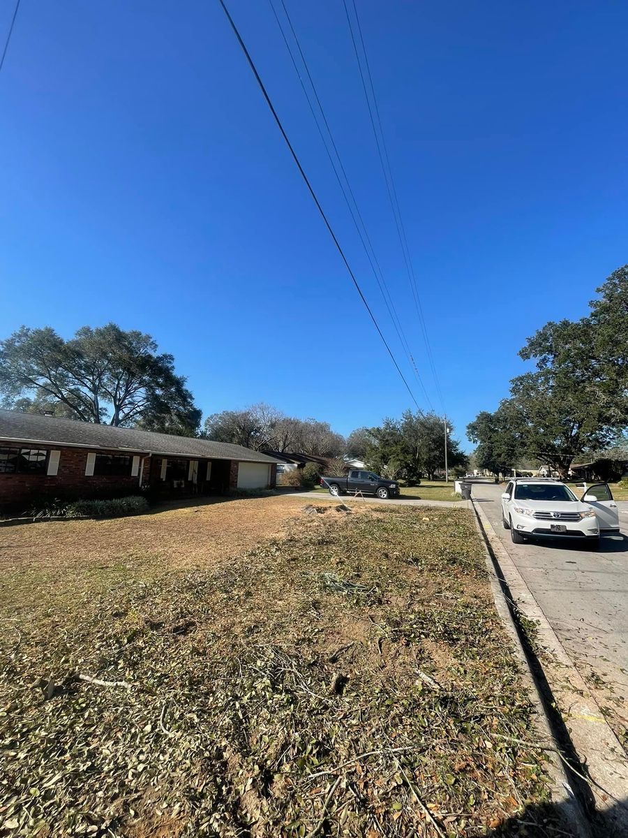 Debris Cleanup for Mr Timber in Ocala, FL