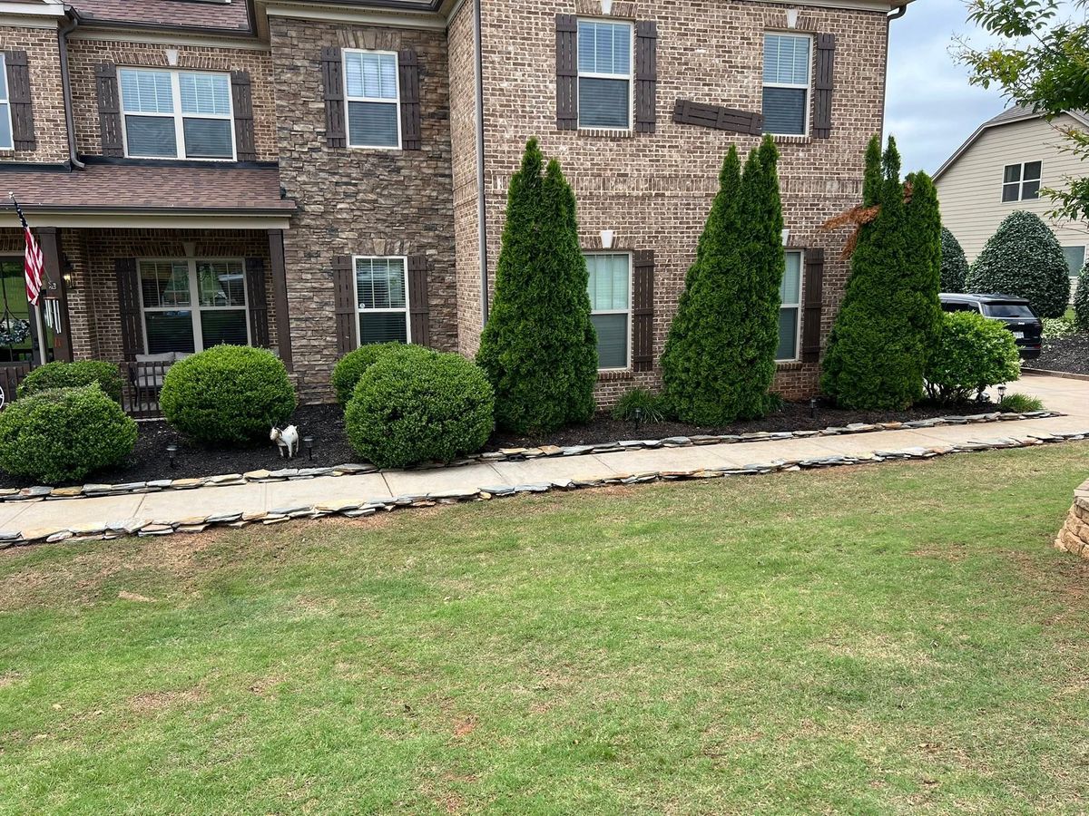 Tree & Shrub Care for Foothills Landscape Solutions LLC in Inman, SC