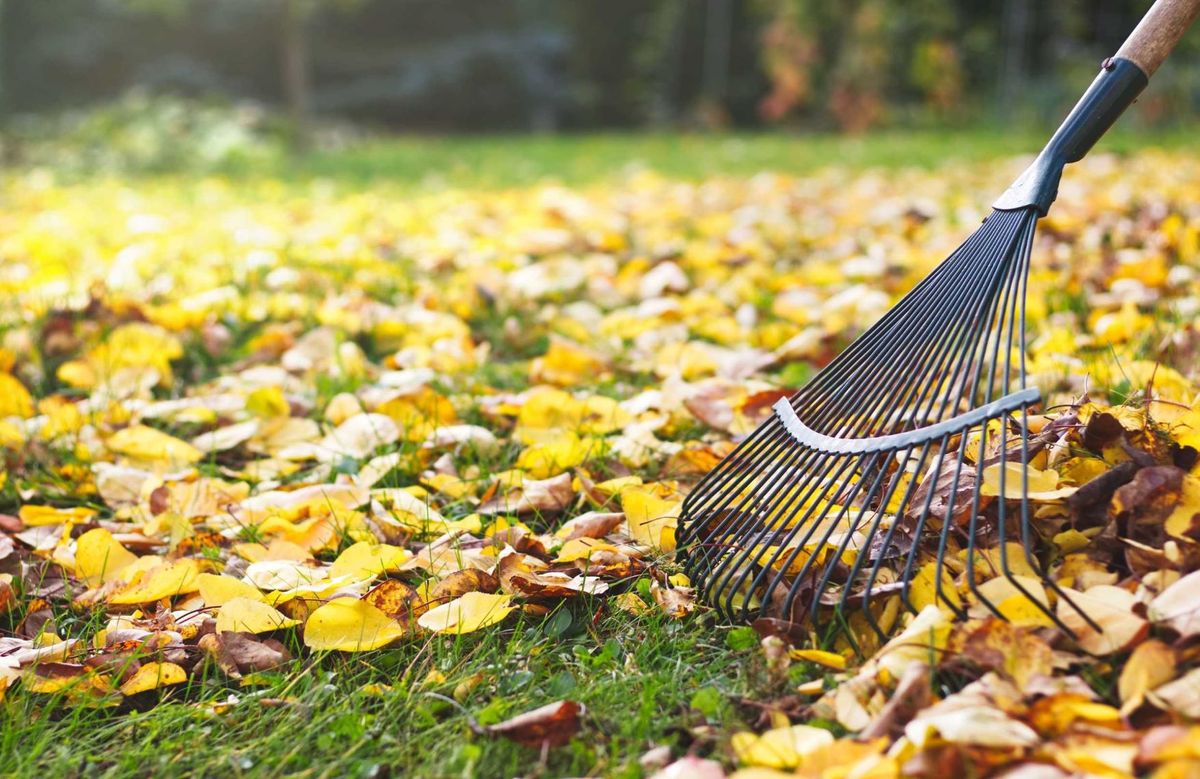 Spring and Fall Cleanups for All American Landscaping and Lawncare in Nampa, ID