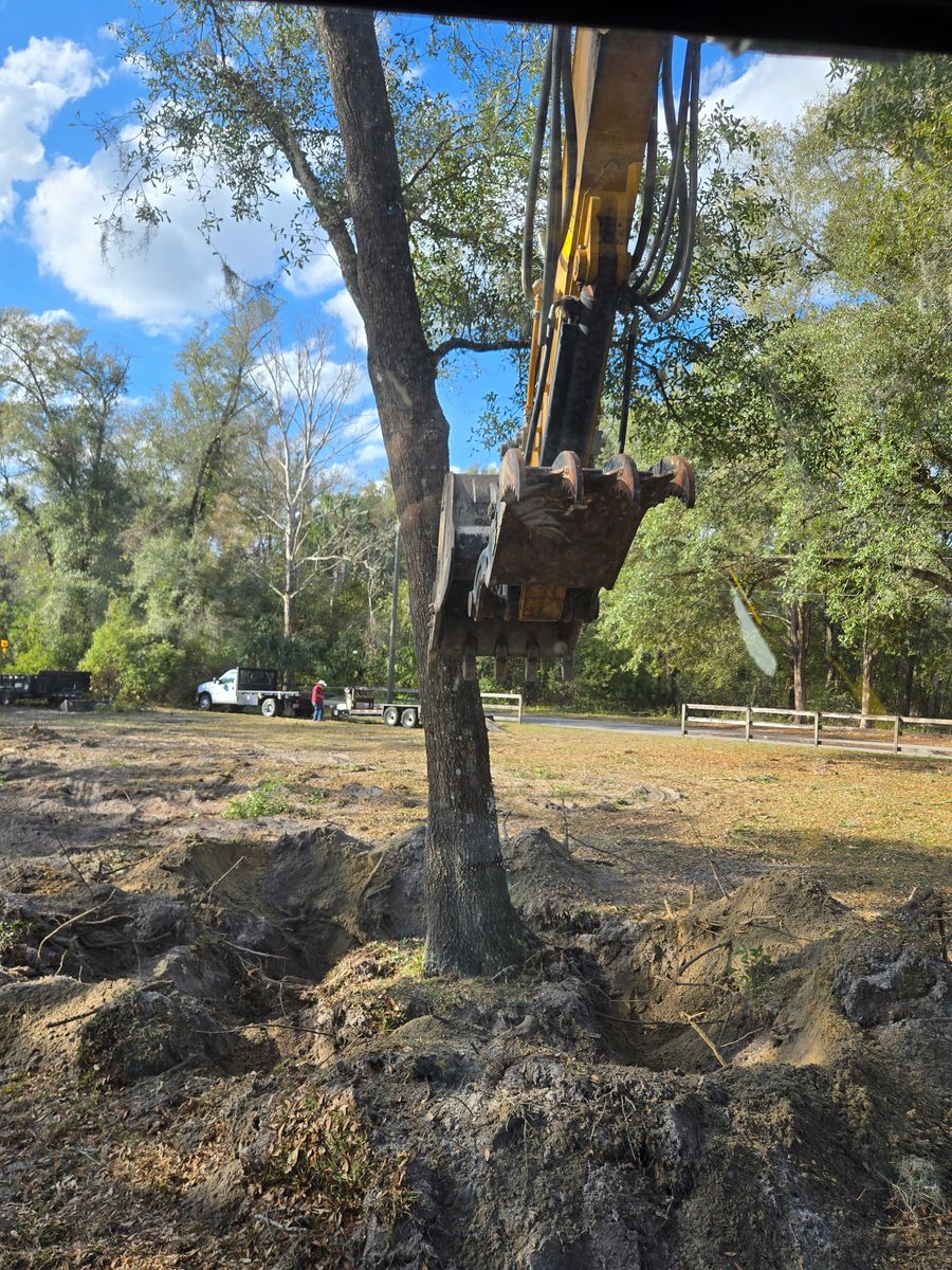 Land Clearing for Downer Site Services in Sanford, FL